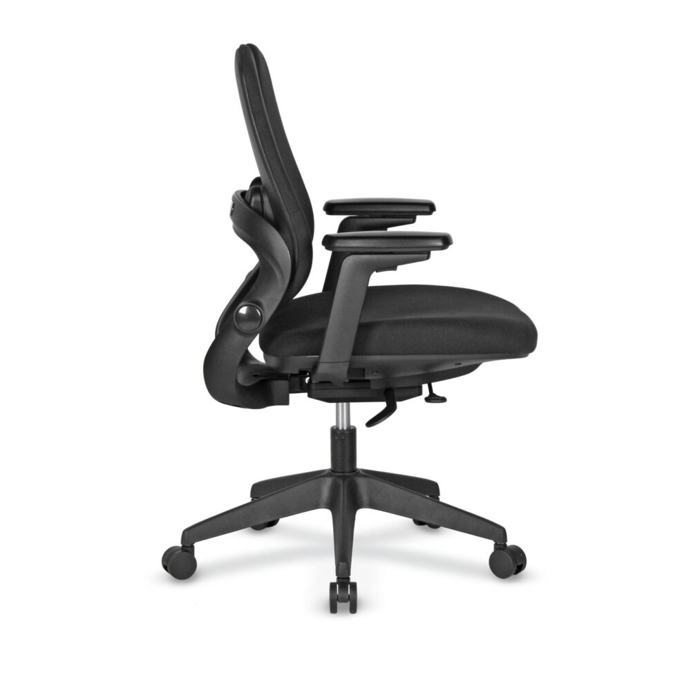 bonita-02-02 bonita-02-02