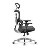 casella-medusa01-185367