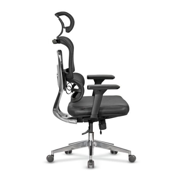 цаселла-медуса01-185367 casella-medusa01-185367