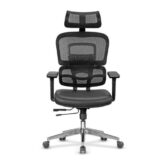 casella-medusa01-185368