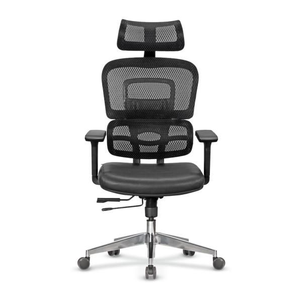 цаселла-медуса01-185368 casella-medusa01-185368