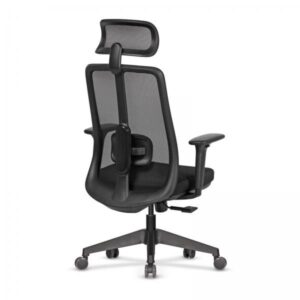 цаселлаензо01-182892