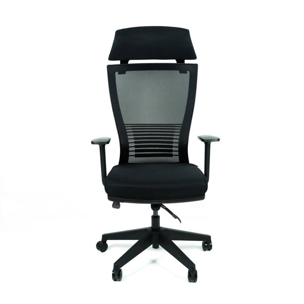 дсцф8447 dscf8447