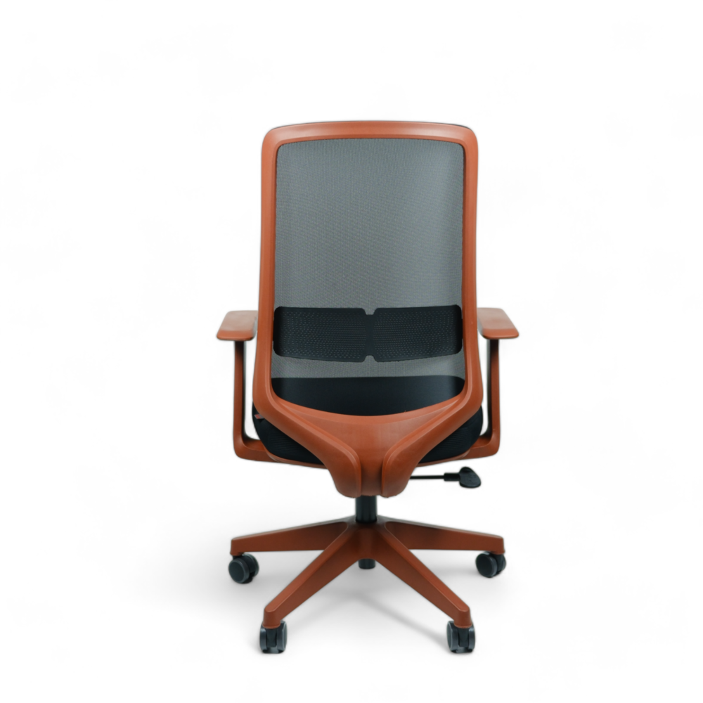 дсцф9481-пхотороом dscf9481-photoroom