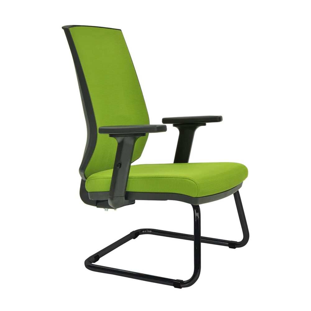 регал-12 regal-12