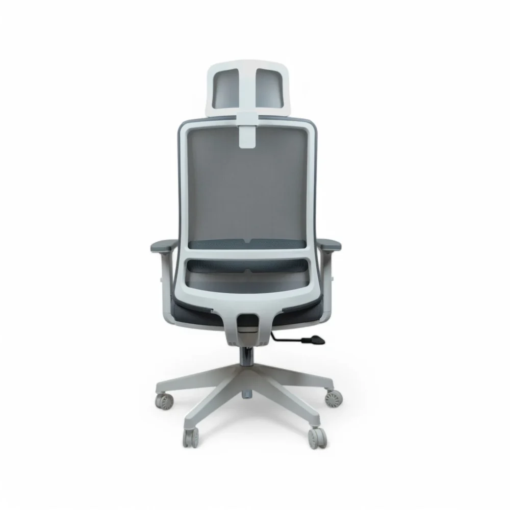 дсцф4993-пхотороом dscf4993-photoroom