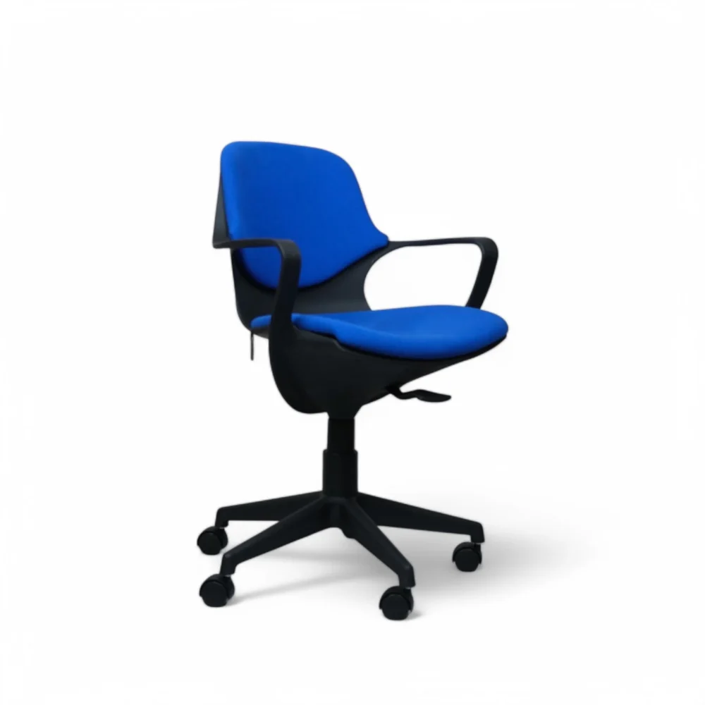 dscf5009-photoroom dscf5009-photoroom